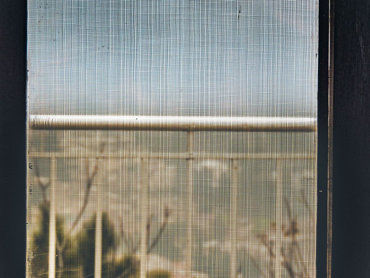 Mosquitera en una ventana, vista desde el interior